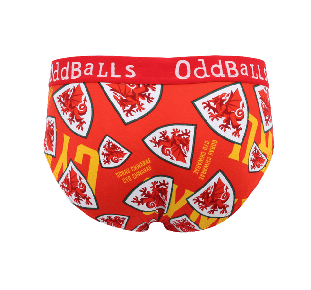 FA Wales Red - Mens Briefs